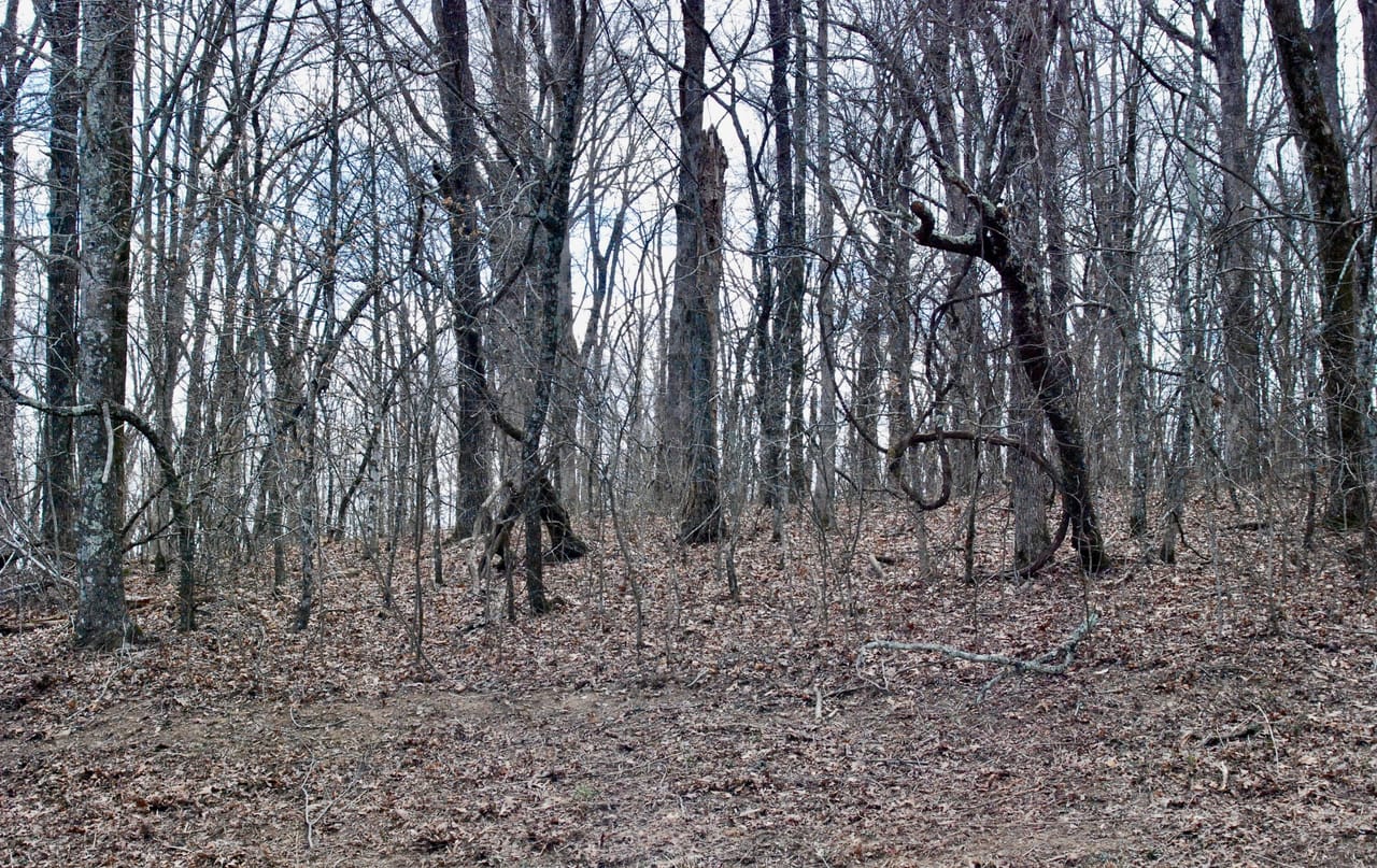Listing Image 40