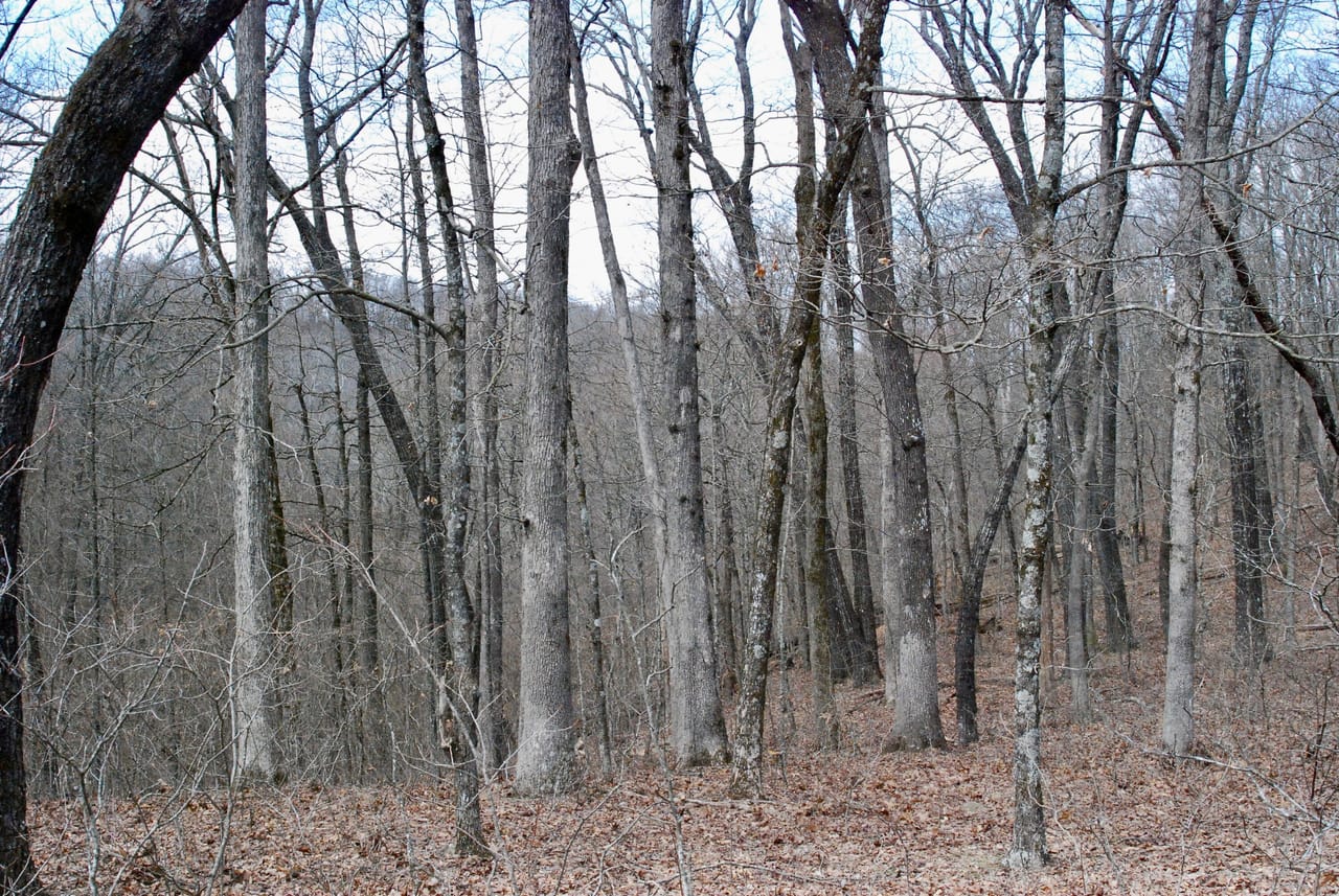 Listing Image 42