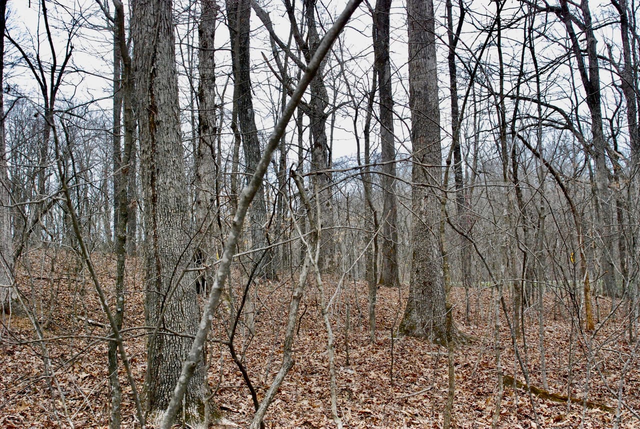 Listing Image 6