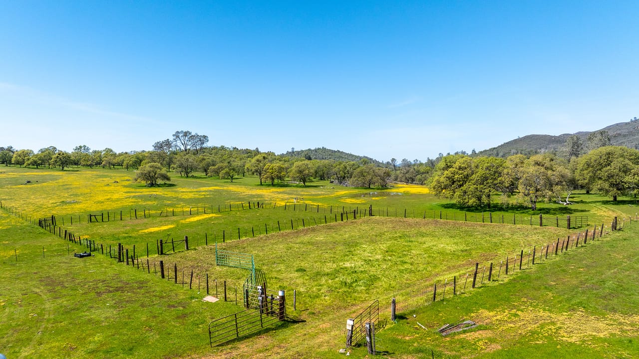 Walker Trail Ranch