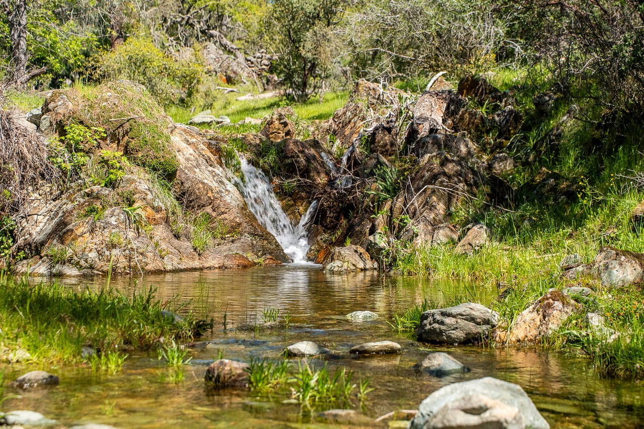 Walker Trail Ranch