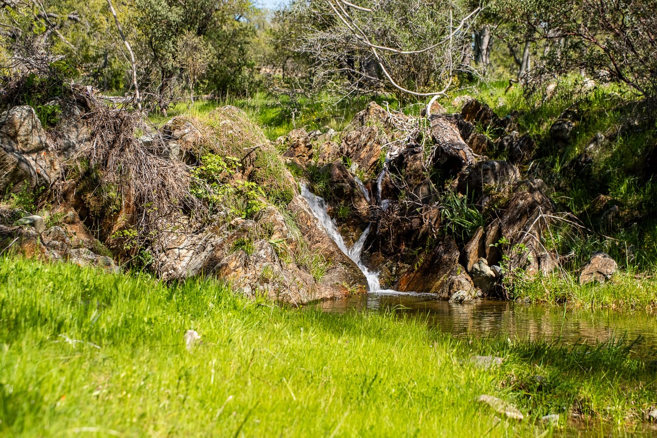 Walker Trail Ranch