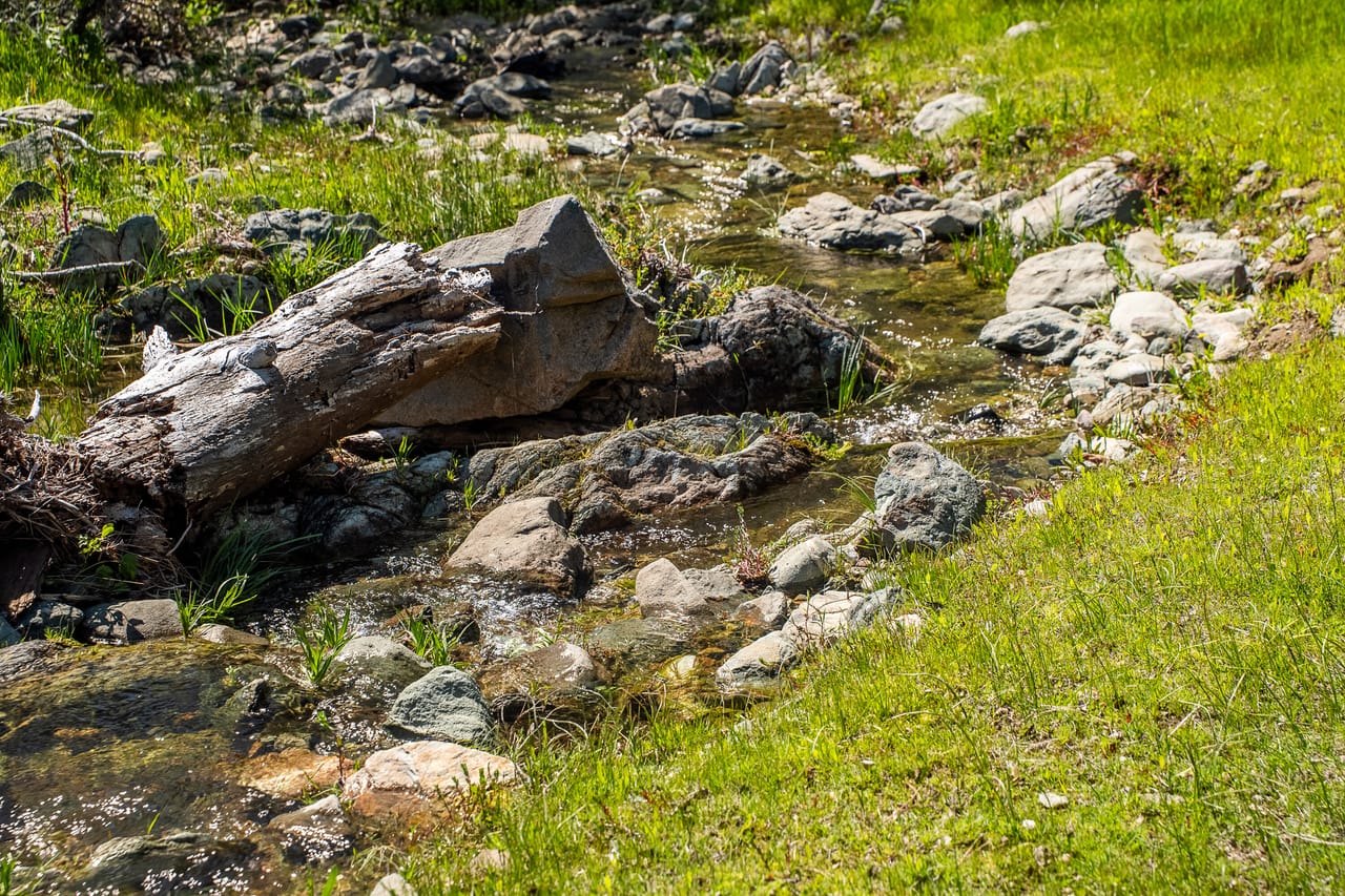 Walker Trail Ranch