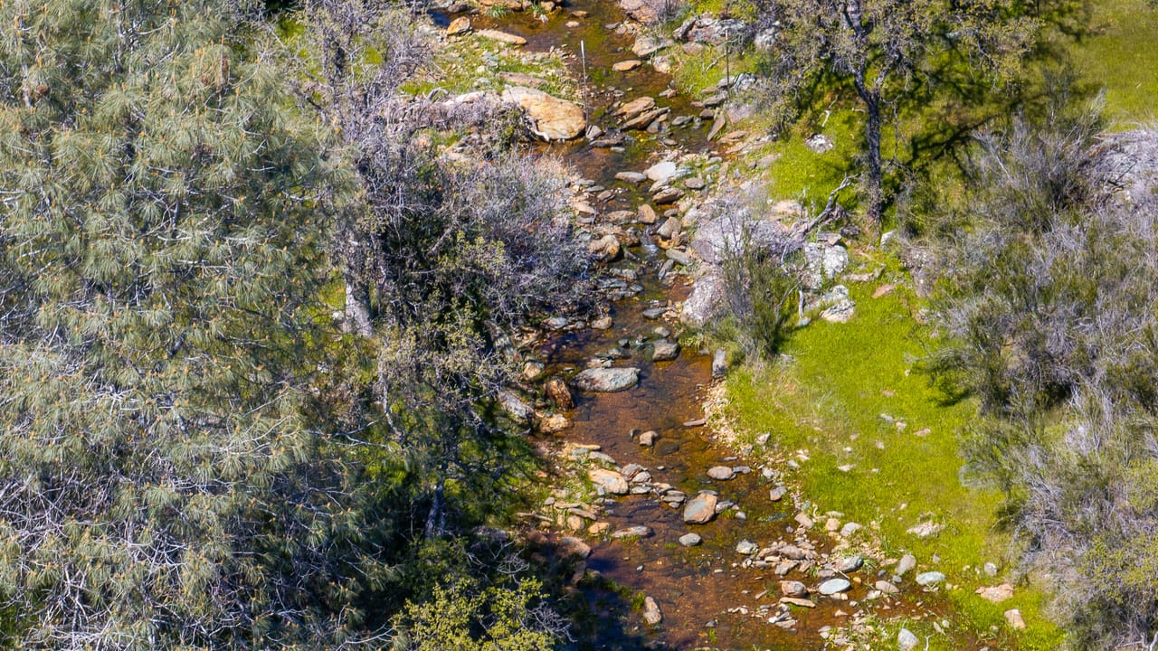 Walker Trail Ranch