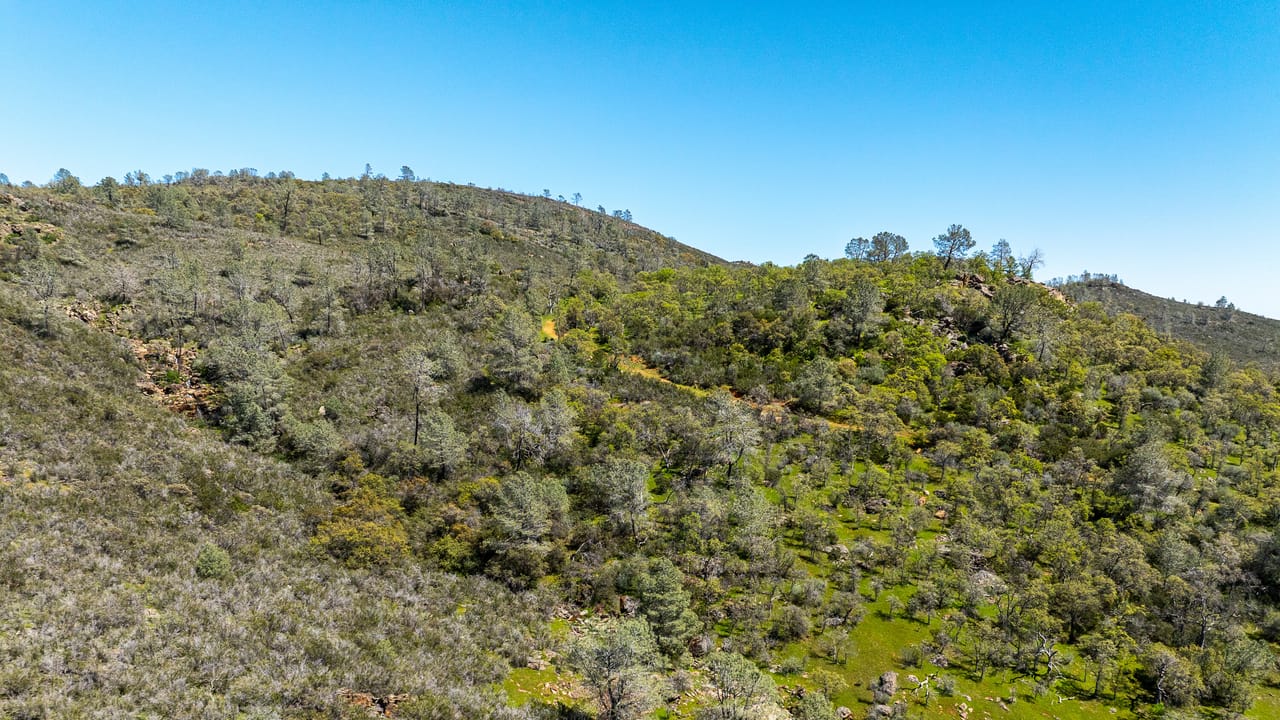Walker Trail Ranch