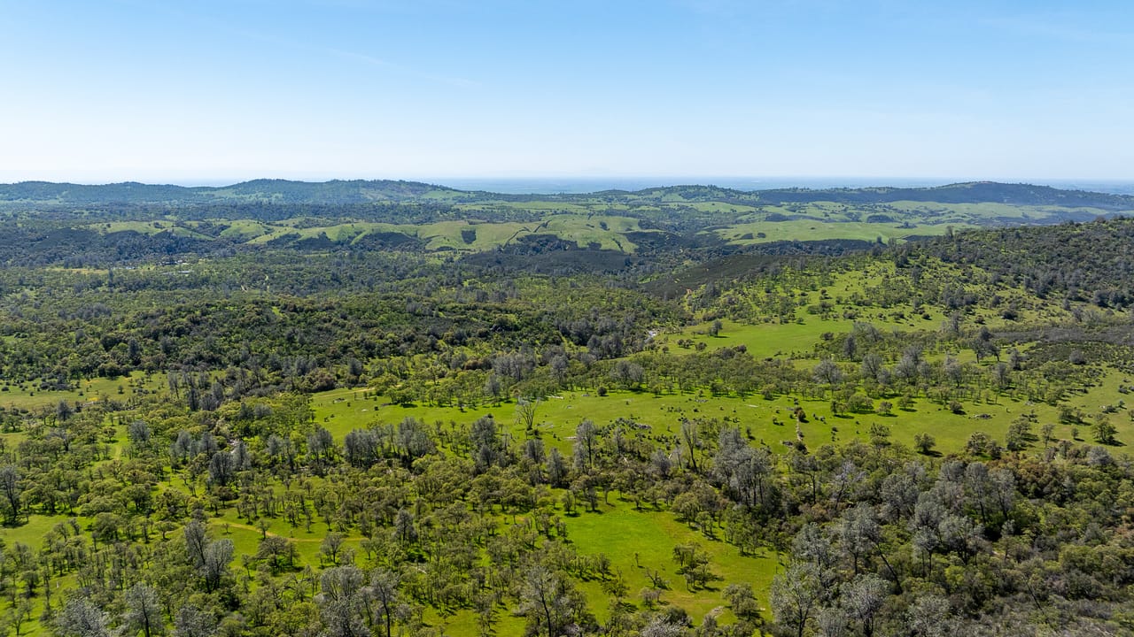 Walker Trail Ranch