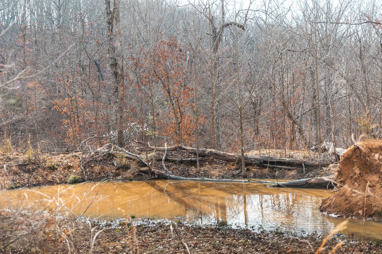 Turtle Glade Retreat