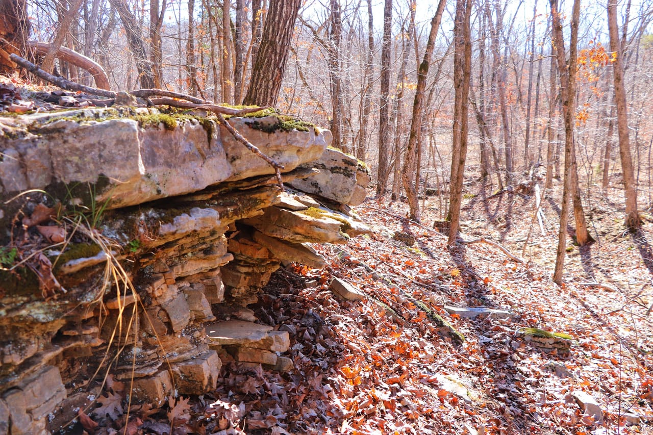 Turtle Glade Retreat