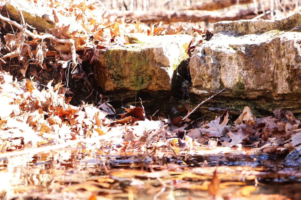 Turtle Glade Retreat