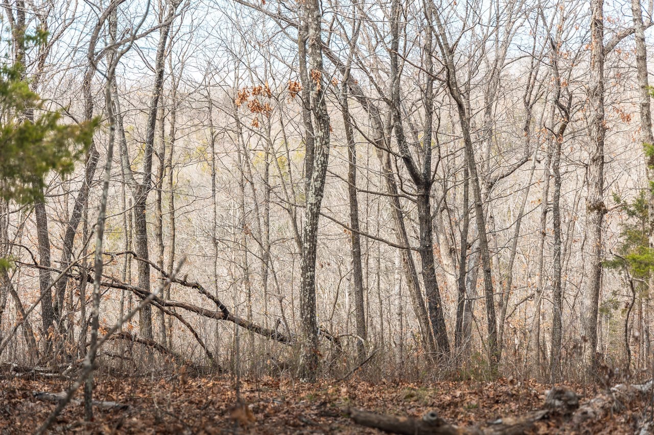 Turtle Glade Retreat