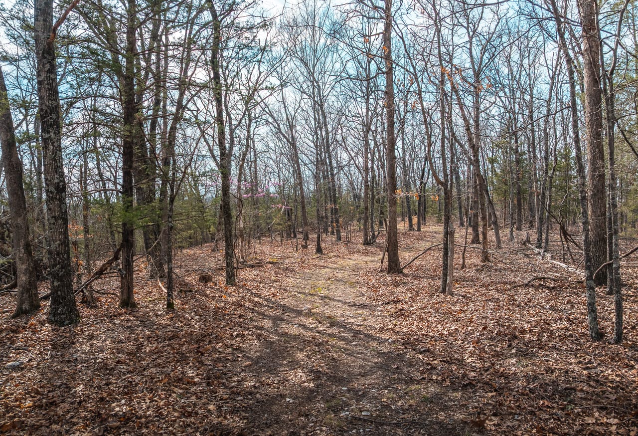 Turtle Glade Retreat