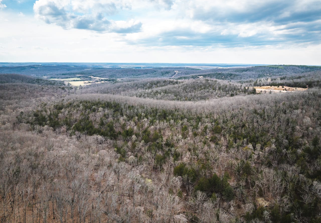 Turtle Glade Retreat