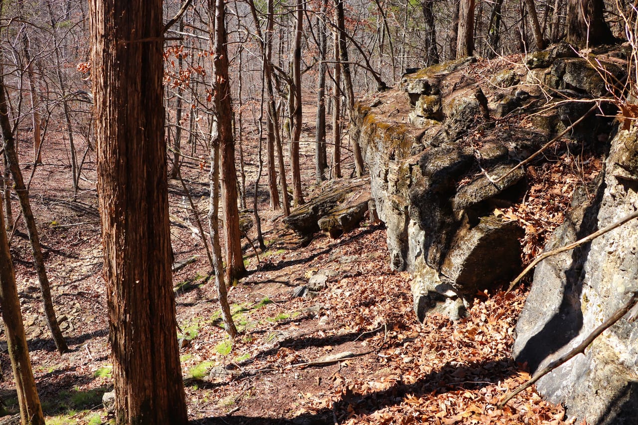 Turtle Glade Retreat