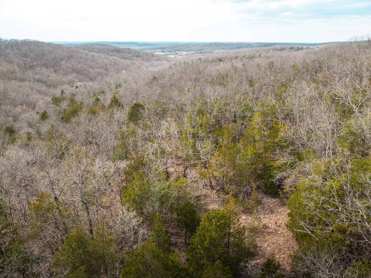 Turtle Glade Retreat