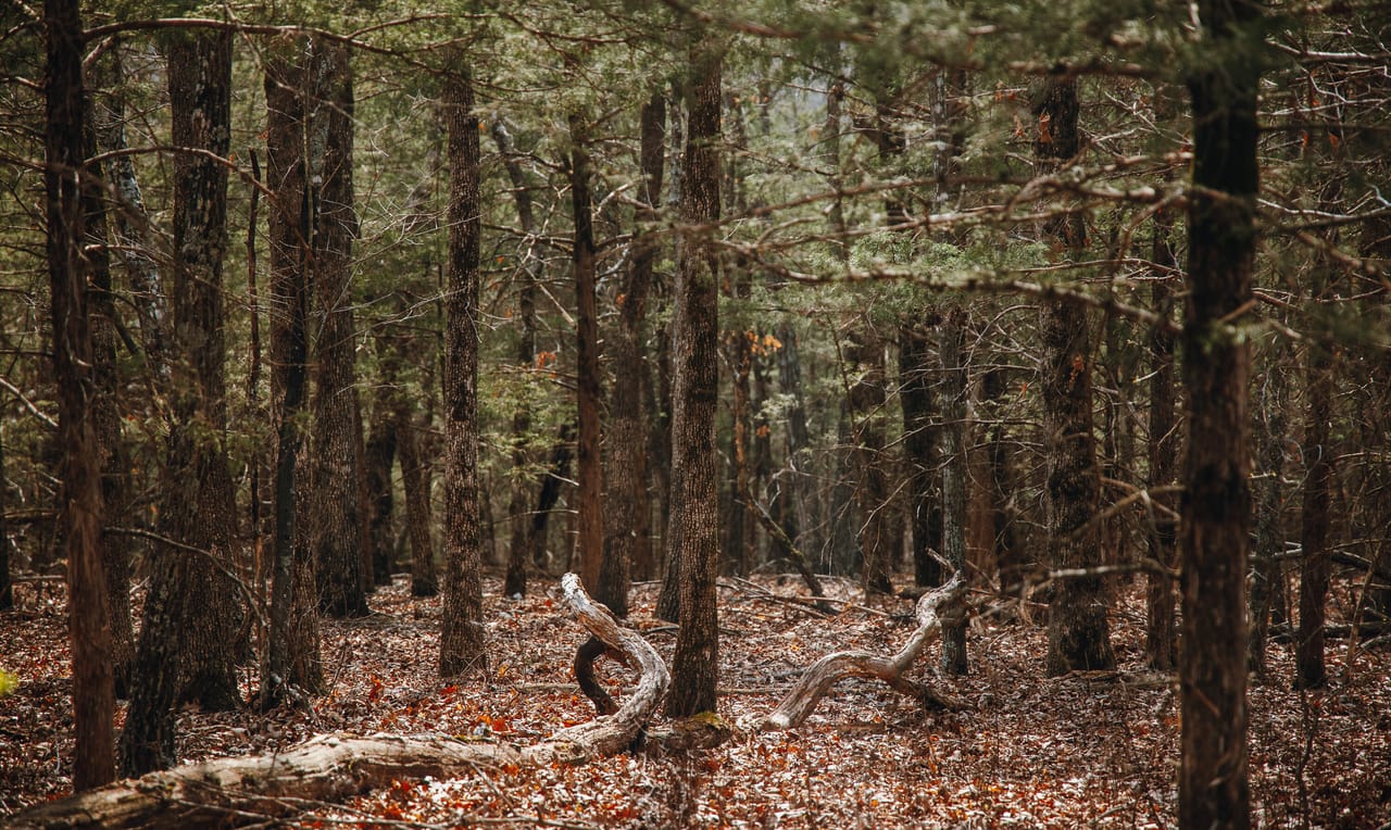 Turtle Glade Retreat