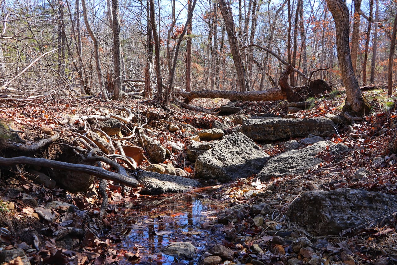 Turtle Glade Retreat