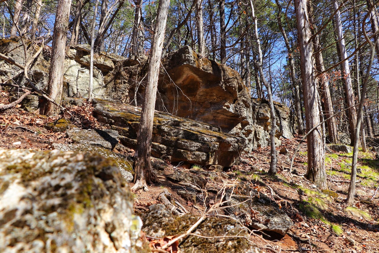 Turtle Glade Retreat