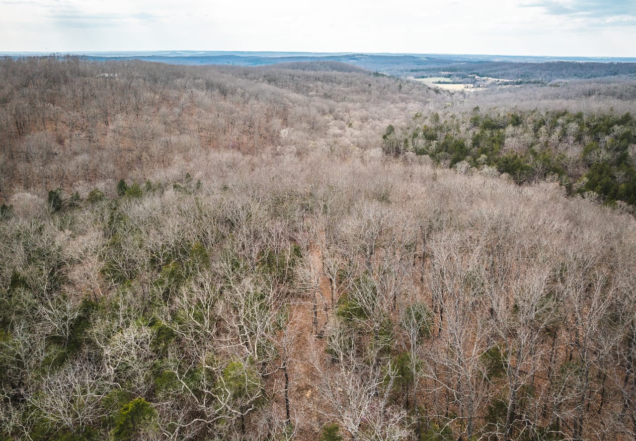Turtle Glade Retreat