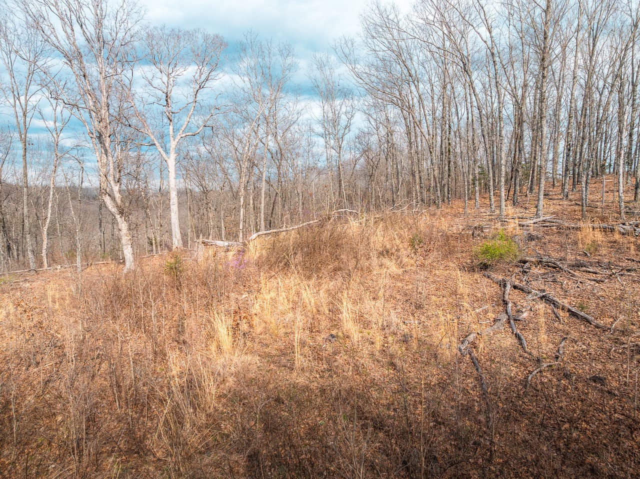 Turtle Glade Retreat