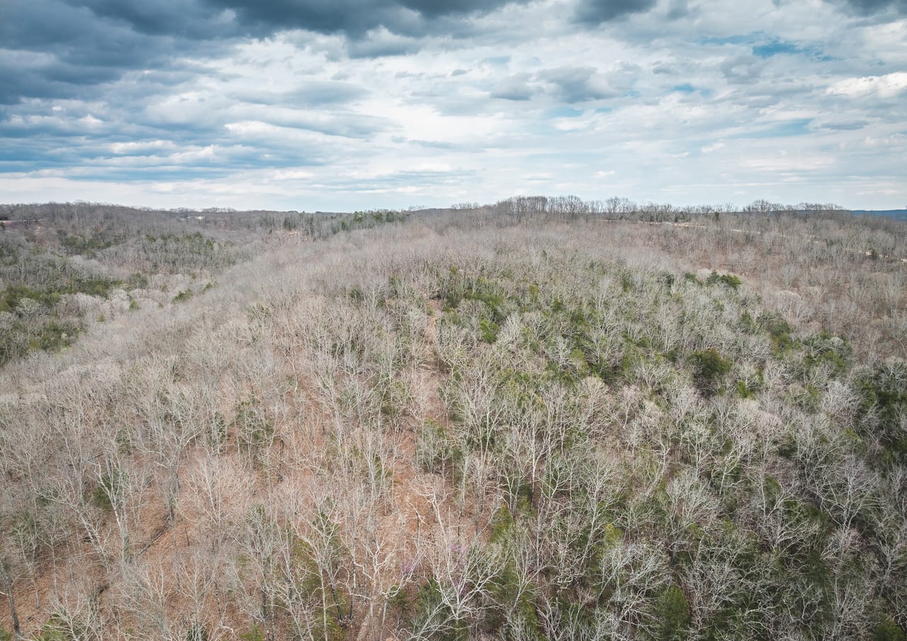 Turtle Glade Retreat
