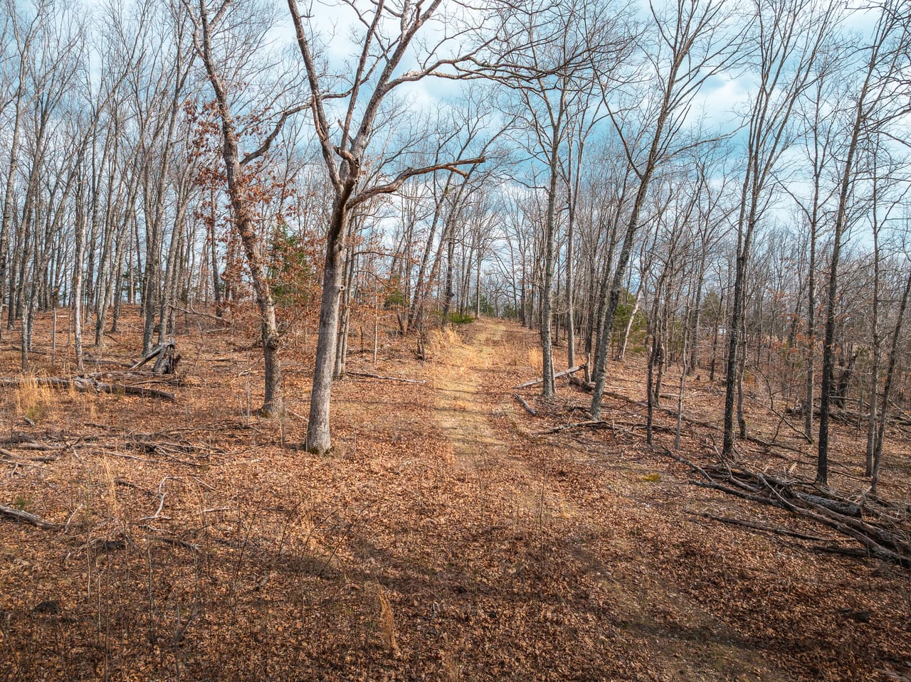 Turtle Glade Retreat