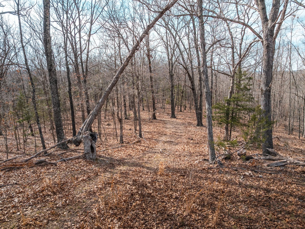 Turtle Glade Retreat