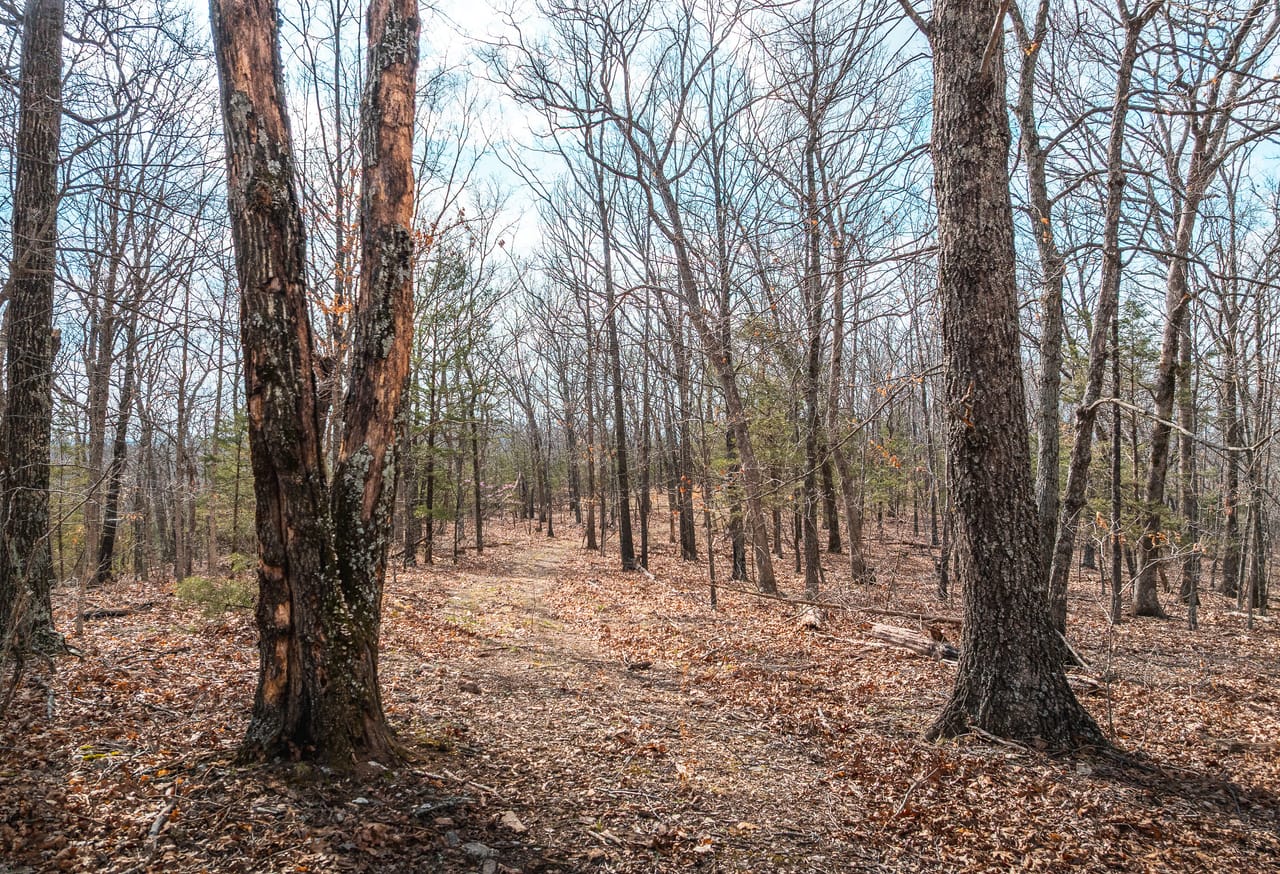 Turtle Glade Retreat