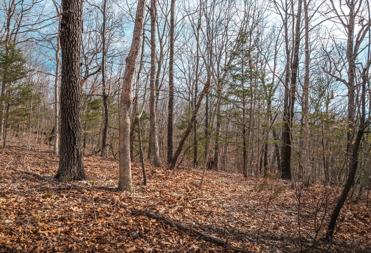 Turtle Glade Retreat
