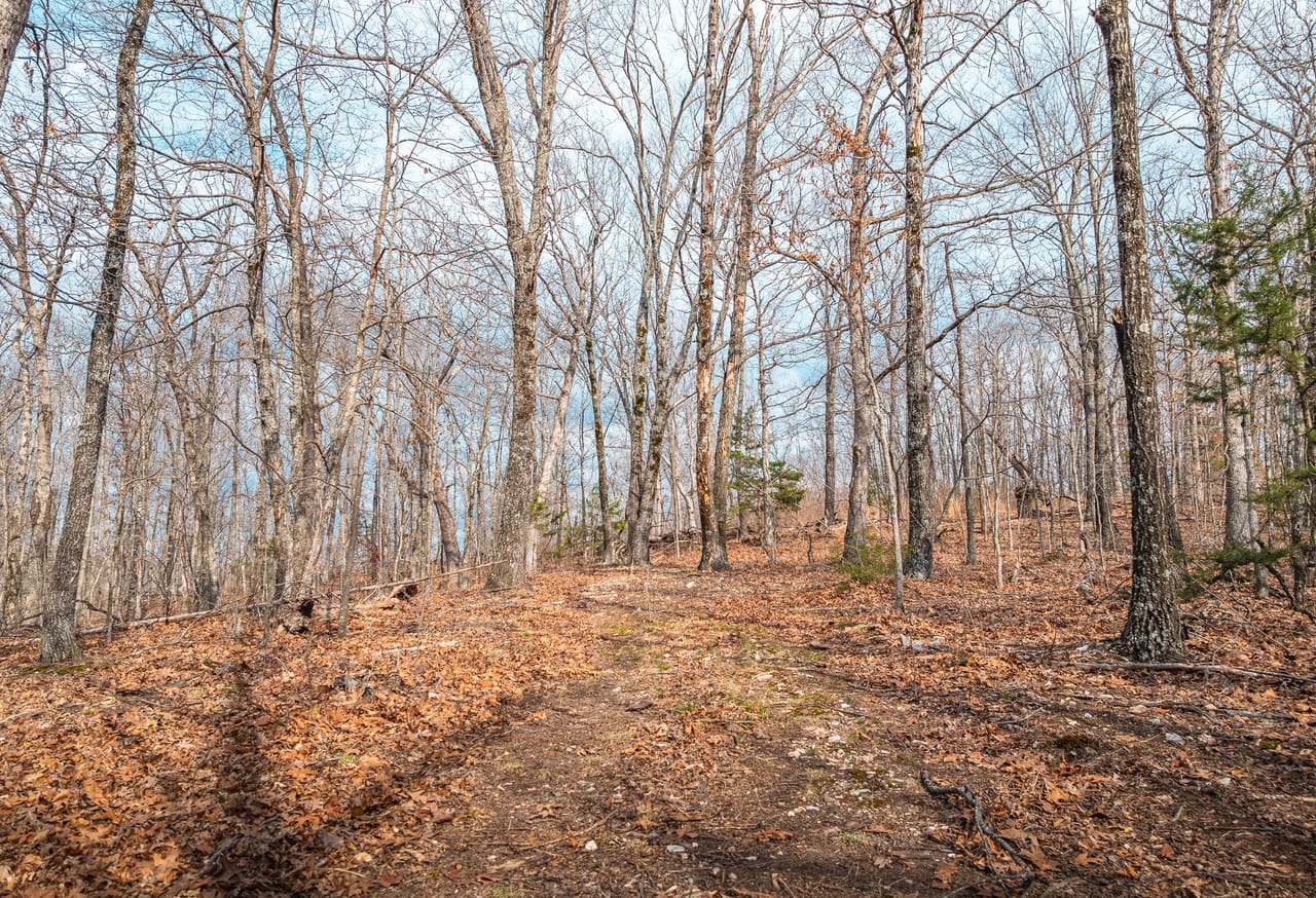 Turtle Glade Retreat