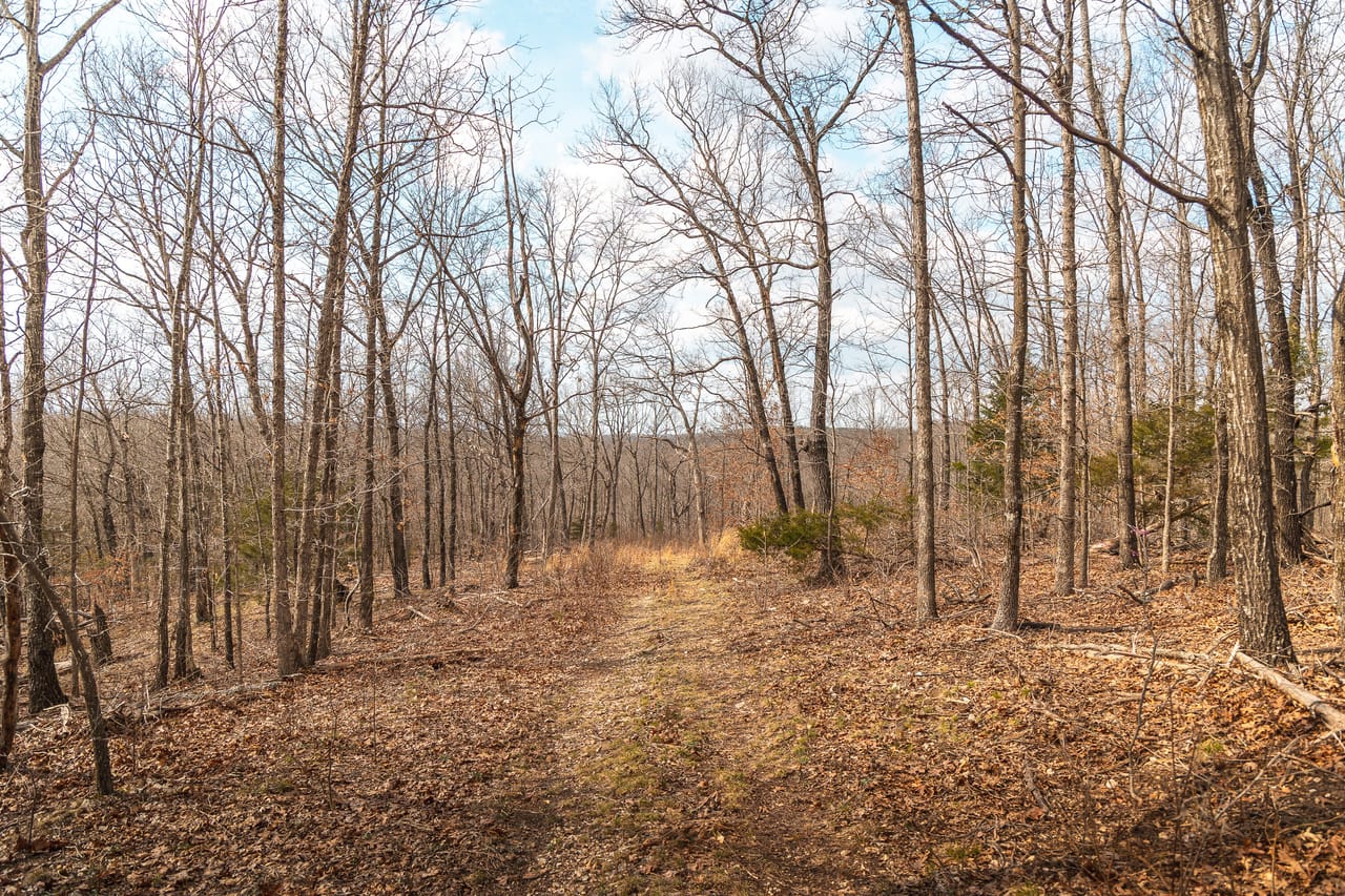 Turtle Glade Retreat