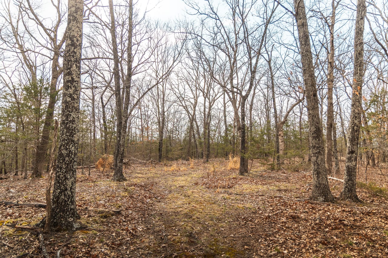 Turtle Glade Retreat