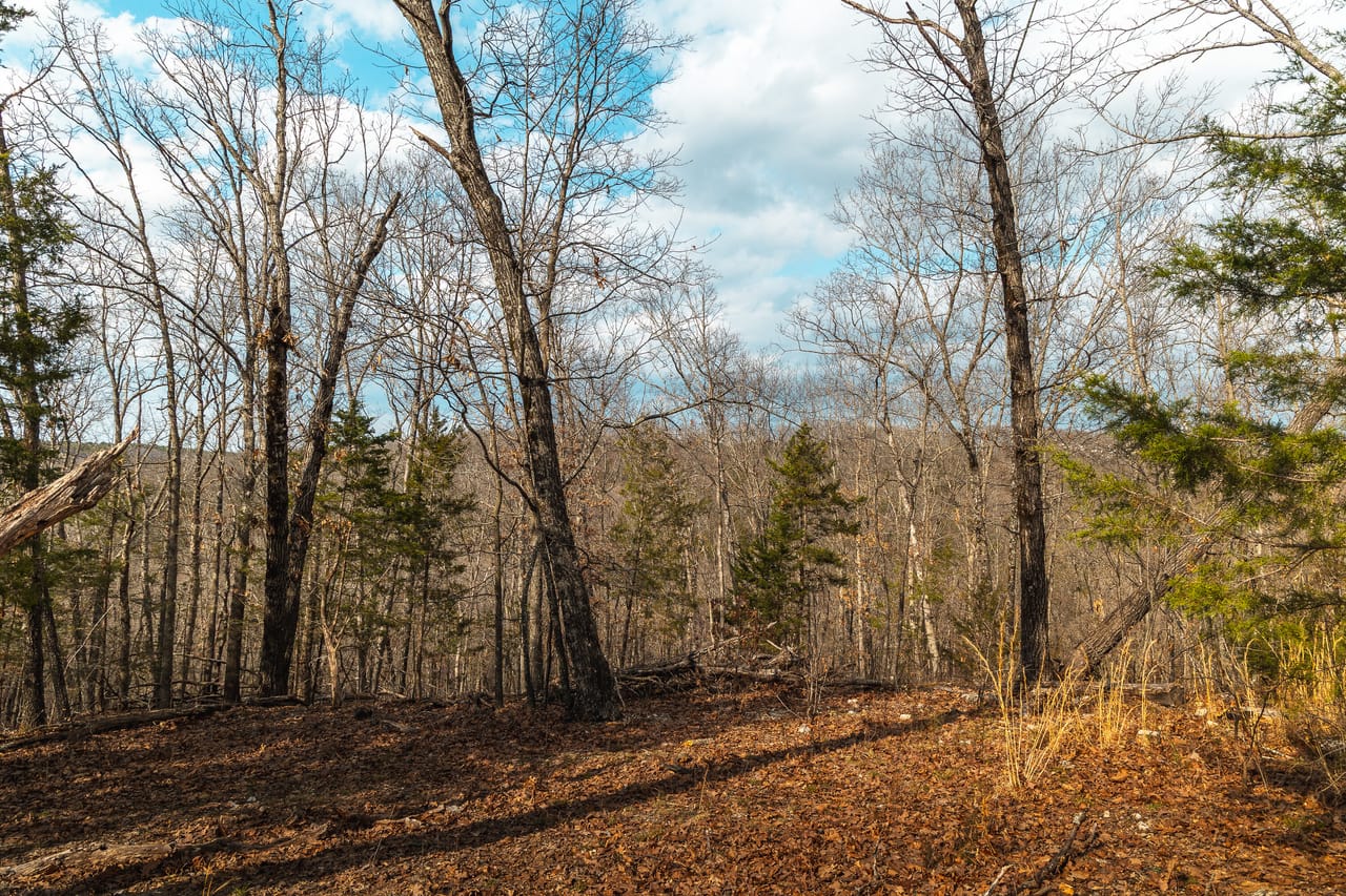 Turtle Glade Retreat