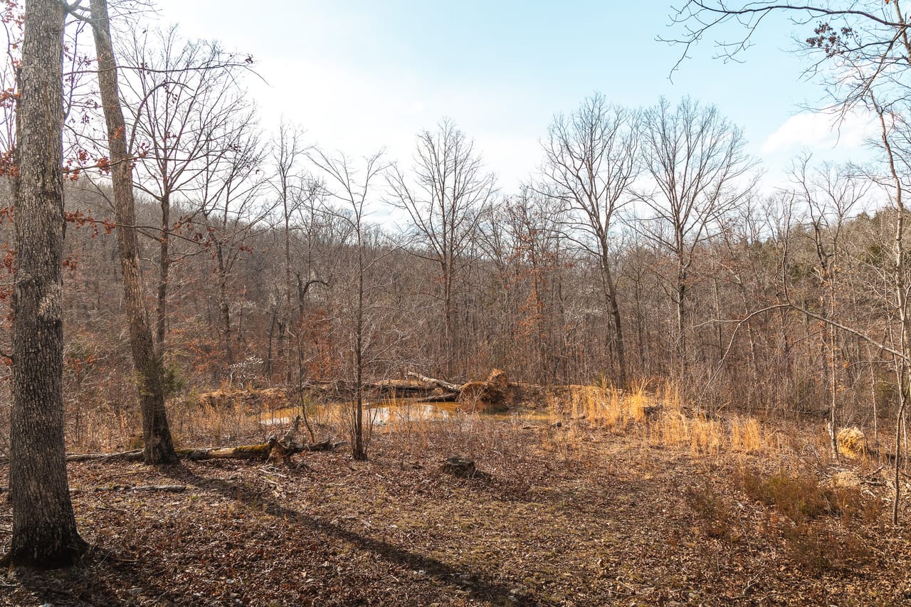 Turtle Glade Retreat