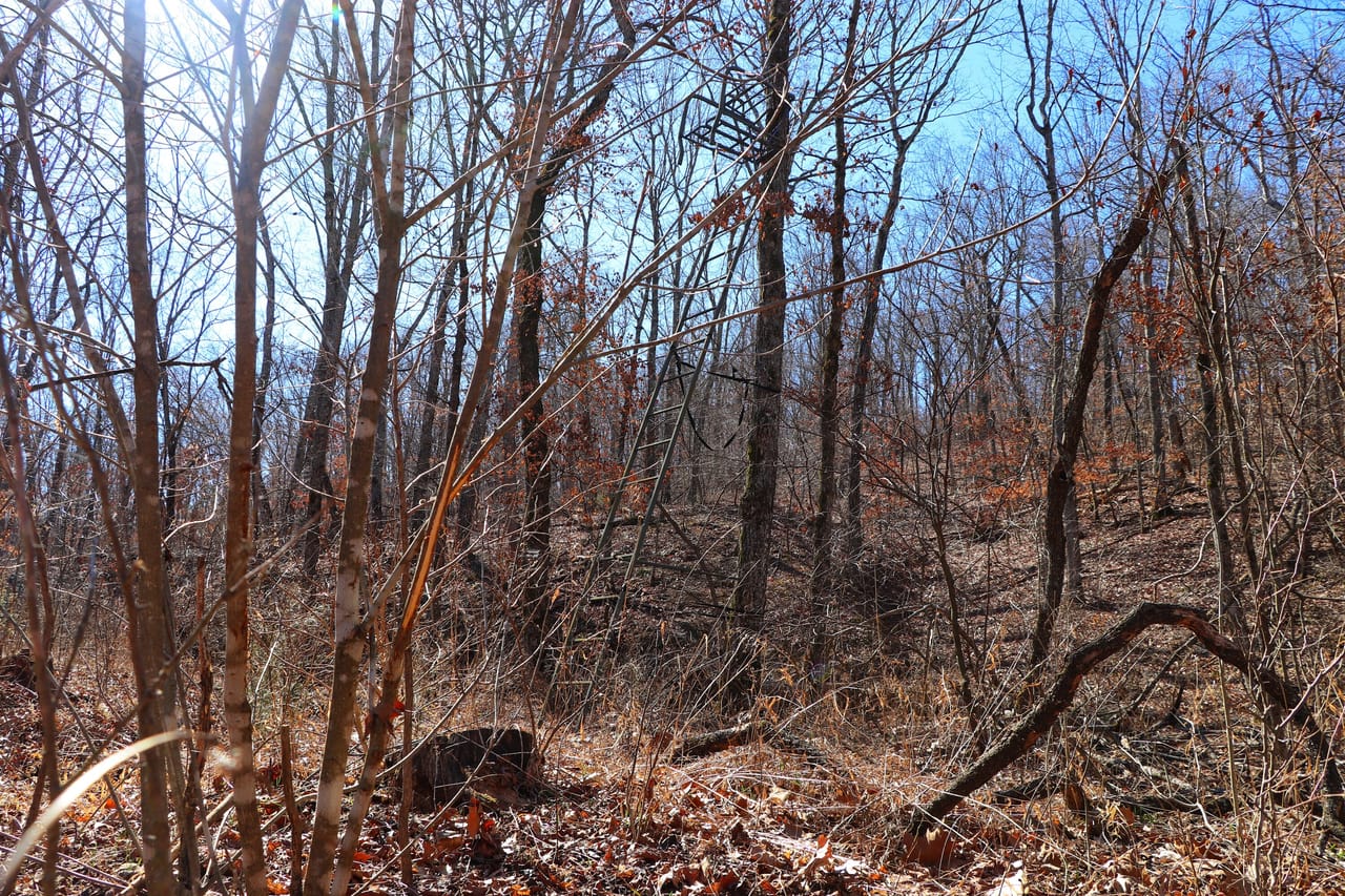 Turtle Glade Retreat