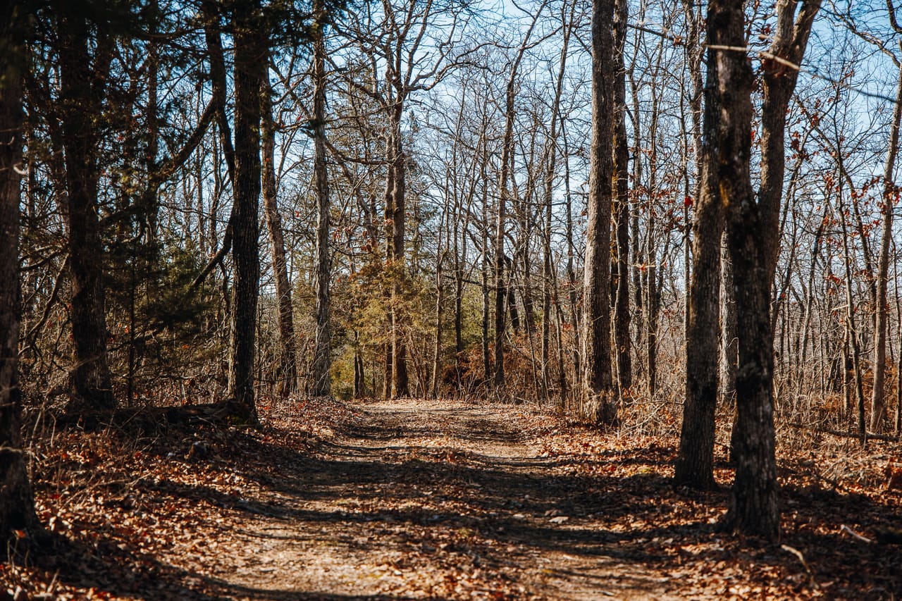St. Francois Deer and Recreation