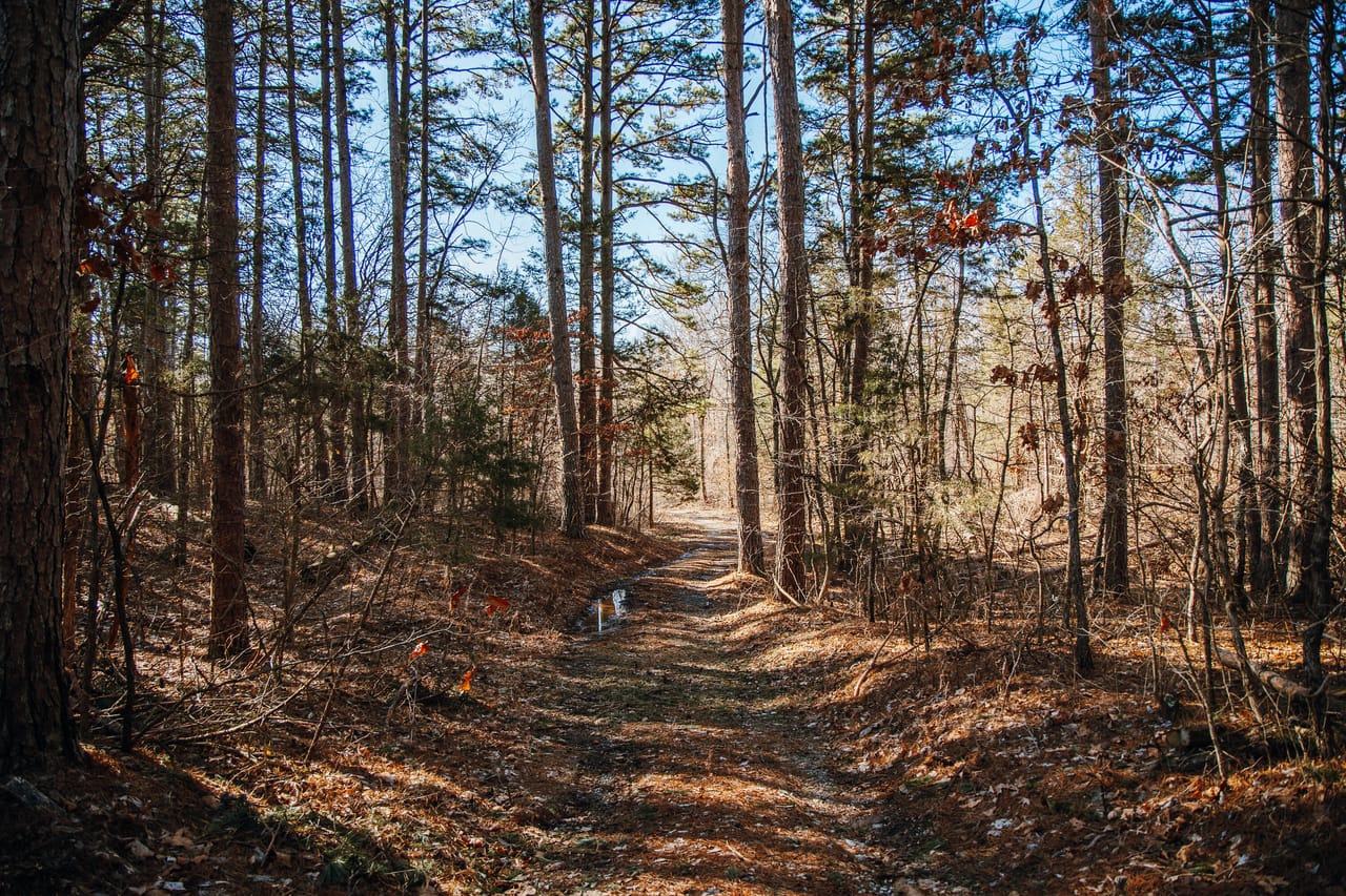 St. Francois Deer and Recreation