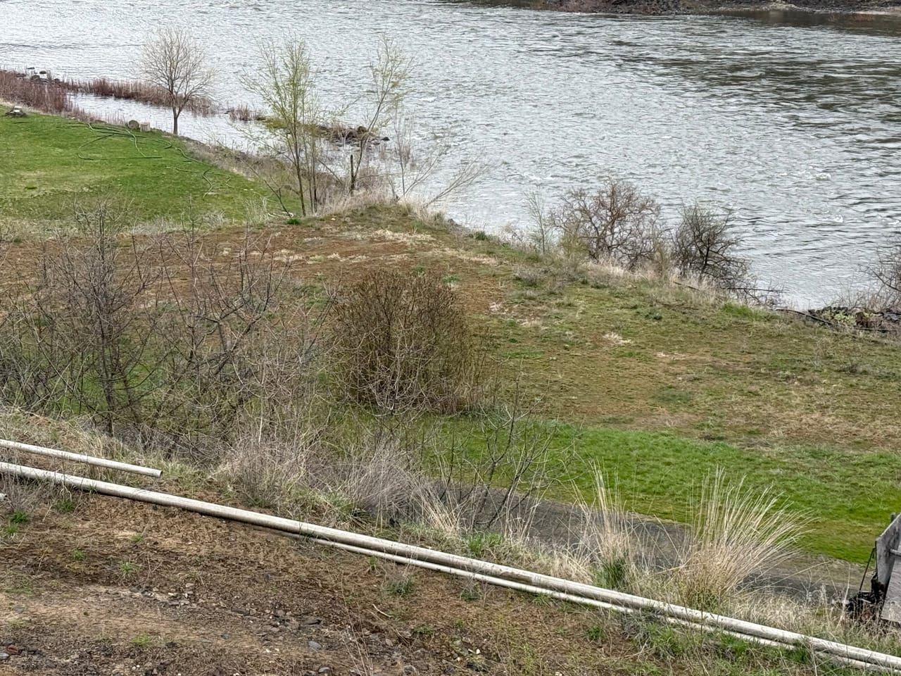 Buildable lot on the Salmon River