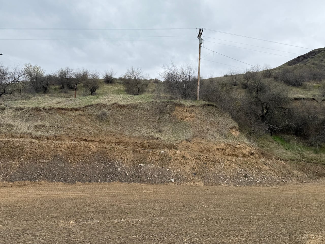 Buildable lot on the Salmon River