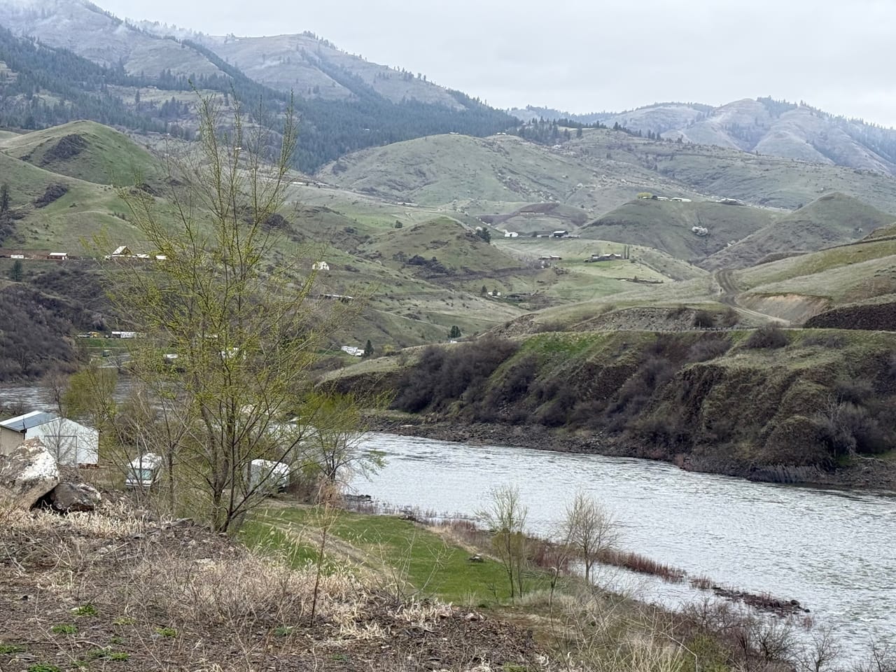 Buildable lot on the Salmon River