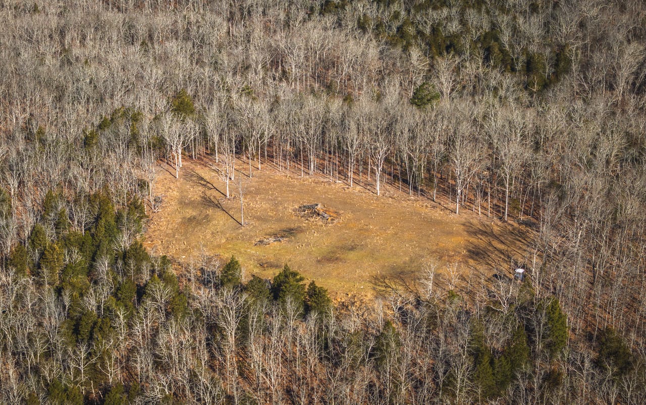 Listing Image 4