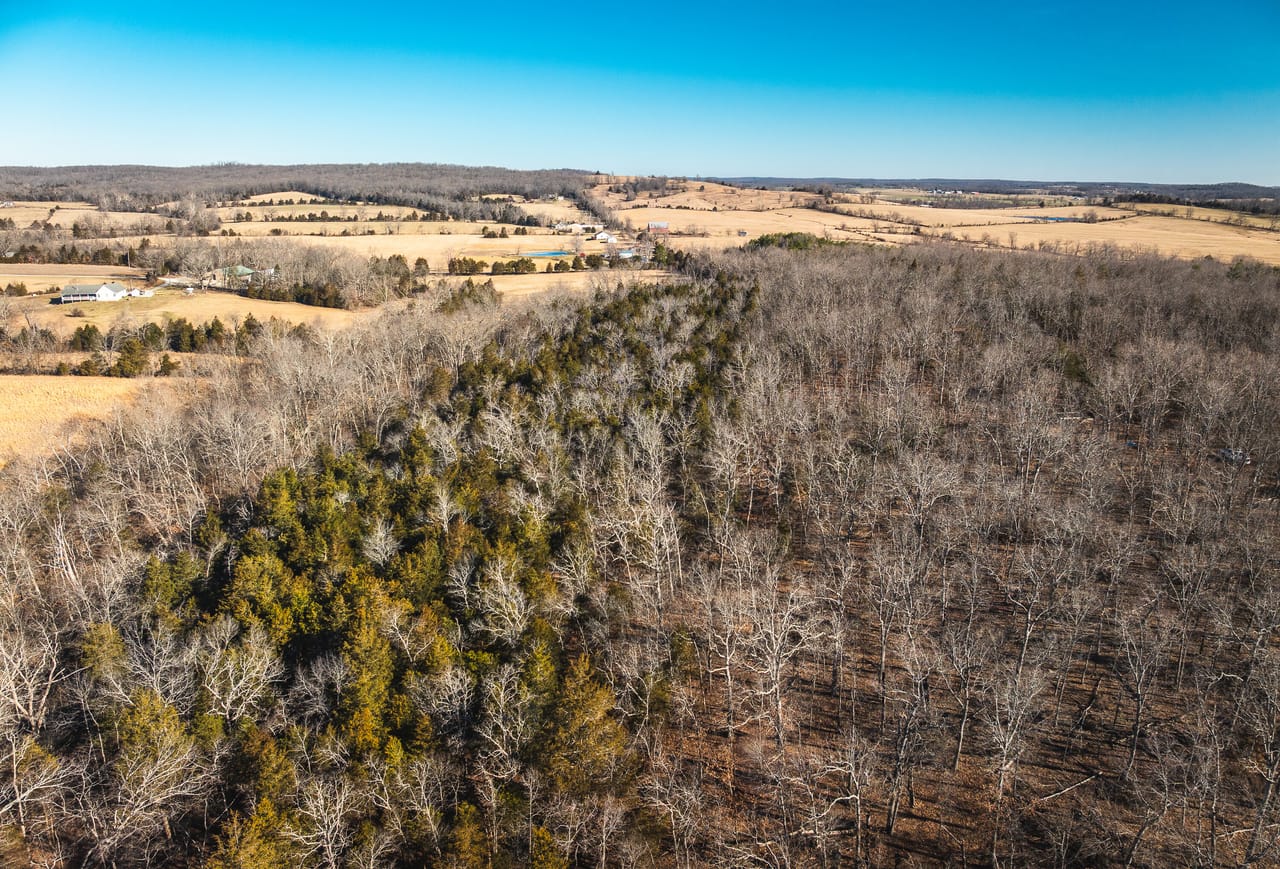 Listing Image 10