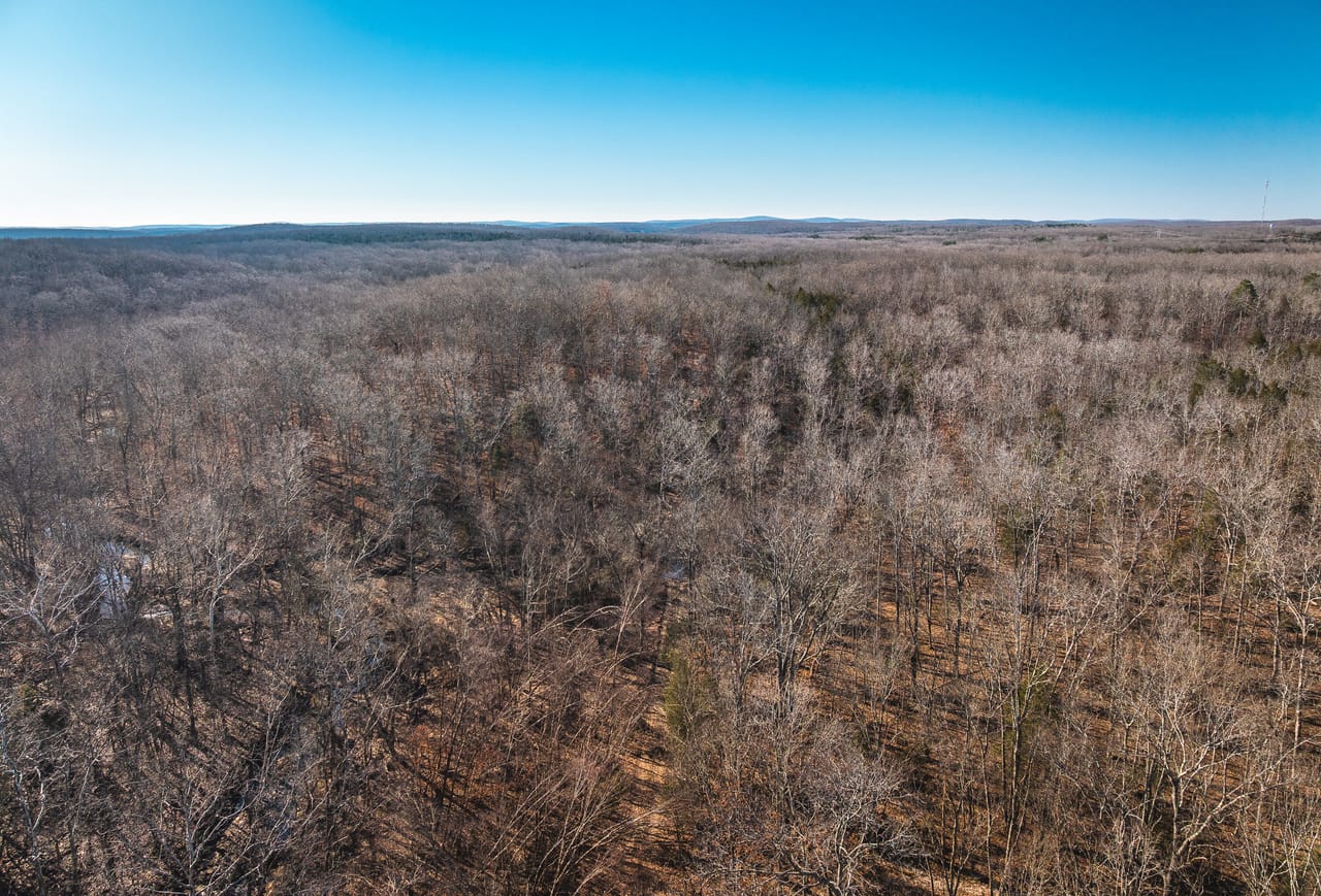 St. Francois Deer and Recreation tract 2