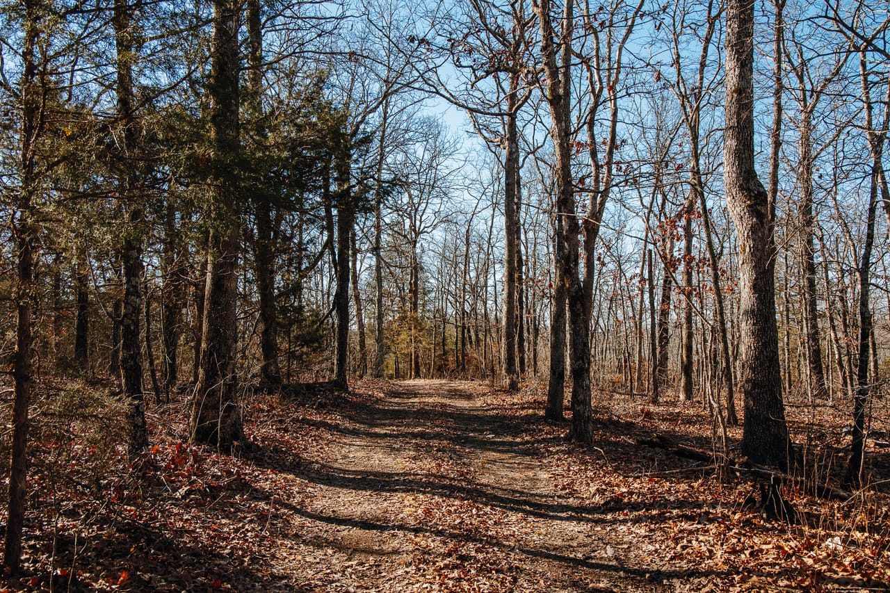 St. Francois Deer and Recreation tract 2