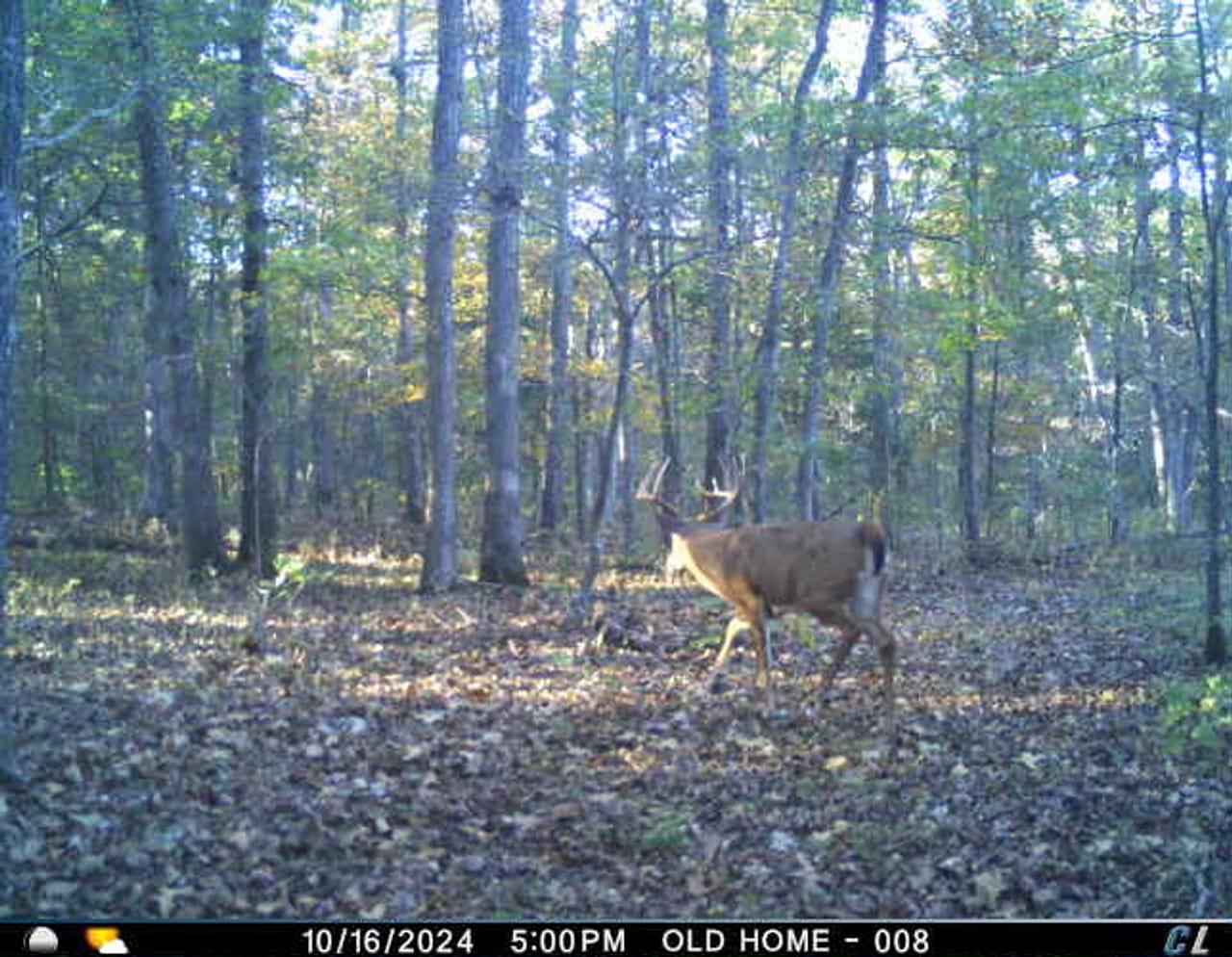 St. Francois Deer and Recreation tract 2