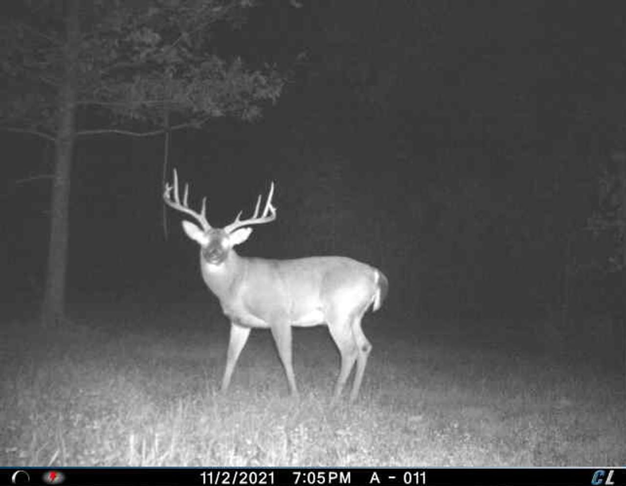 St. Francois Deer and Recreation tract 2