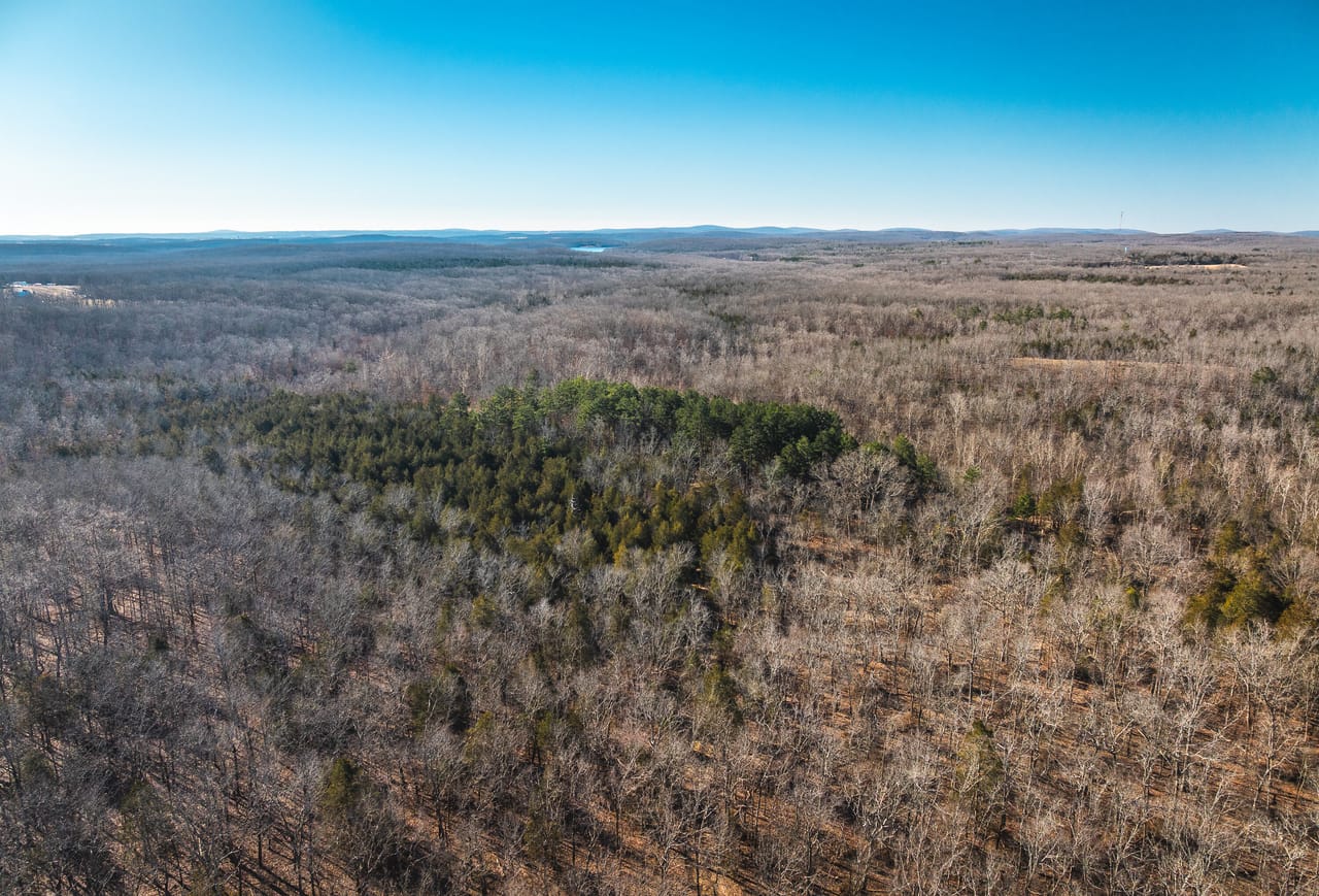 St. Francois Deer and Recreation tract 2
