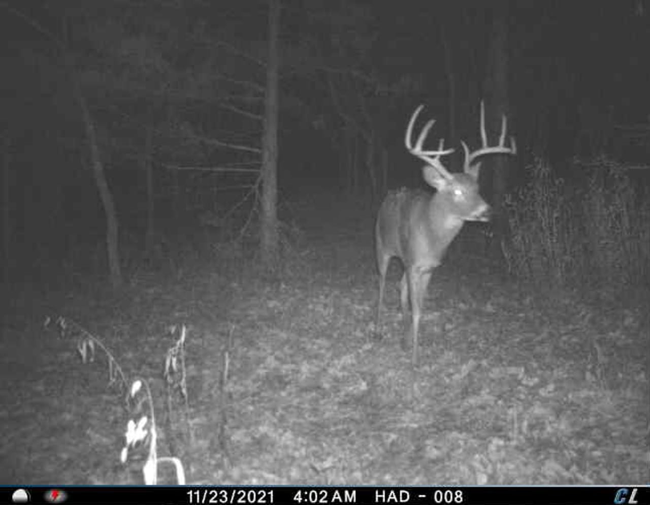 St. Francois Deer and Recreation tract 2