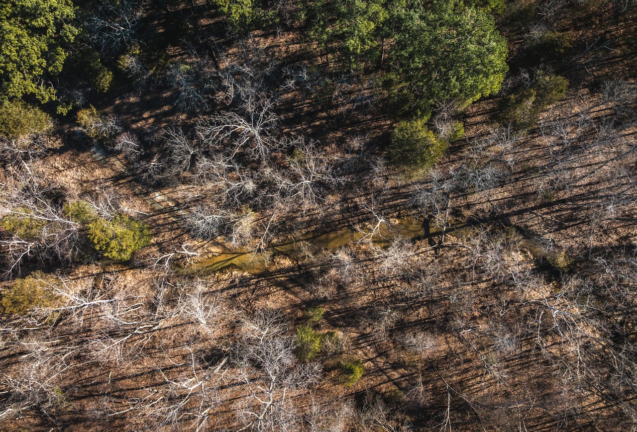 St. Francois Deer and Recreation tract 2