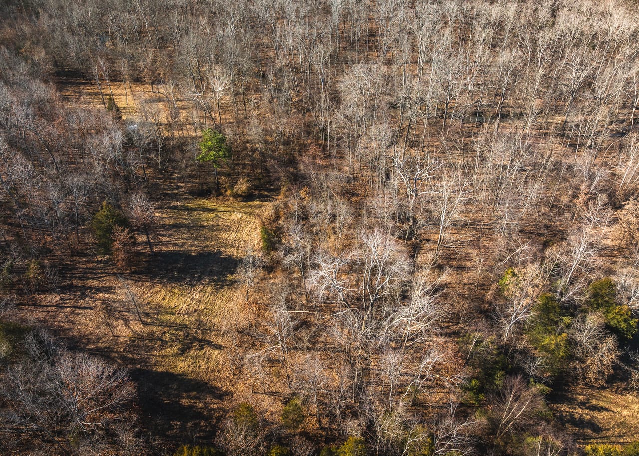 St. Francois Deer and Recreation tract 2
