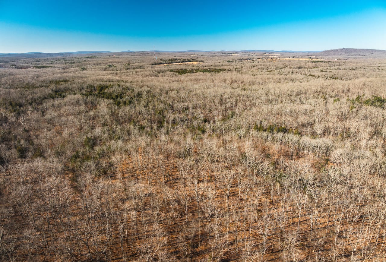 St. Francois Deer and Recreation tract 2